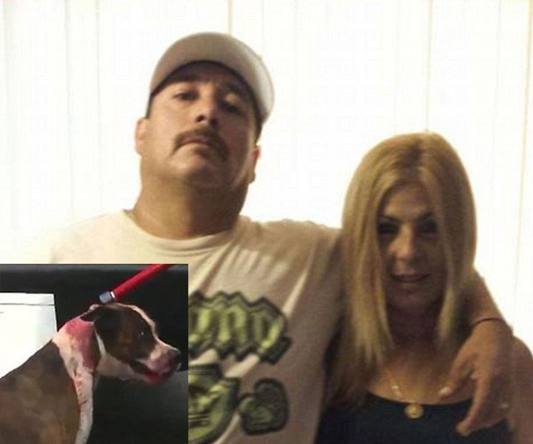 Brenda Guerrero and her husband Ismael Guerrero were mauled by their pitbull named Scarface (Photo Credit: Facebook/Brenda Guerrero and Scarface-TV screen shot)