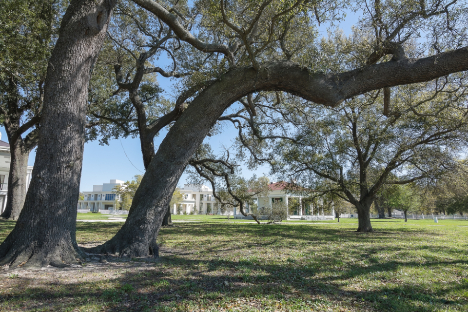 A 300 plus year old live oak tree at Beauvoir, The Jefferson Davis Home and Presidential Library in Biloxi, Mississippi. (Photo credit: fasthorses /shutterstock)