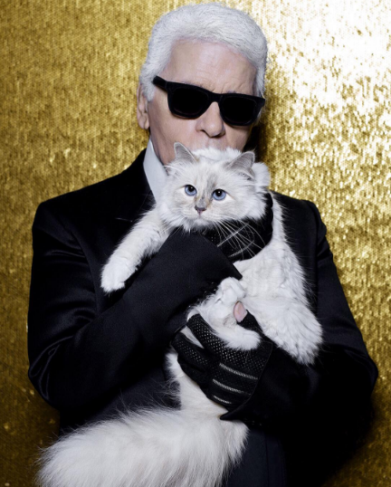 @karllagerfeld/Instagram