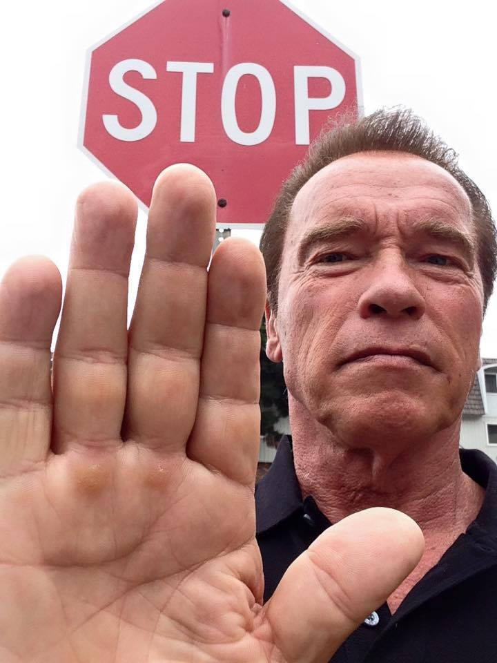 Arnold Schwarzenegger/Facebook