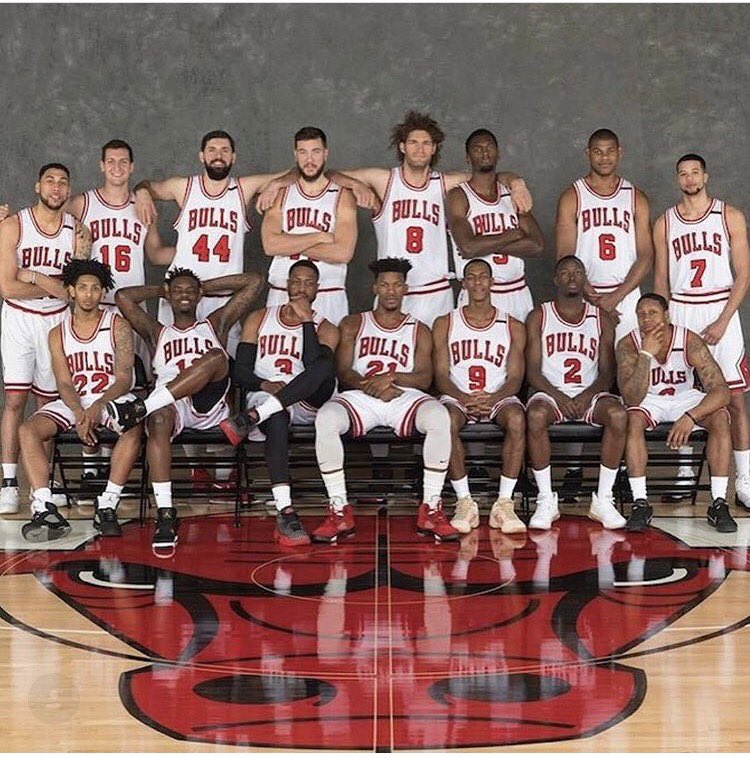 2015 chicago bulls roster