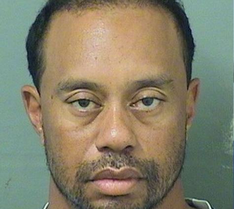 tiger woods meme