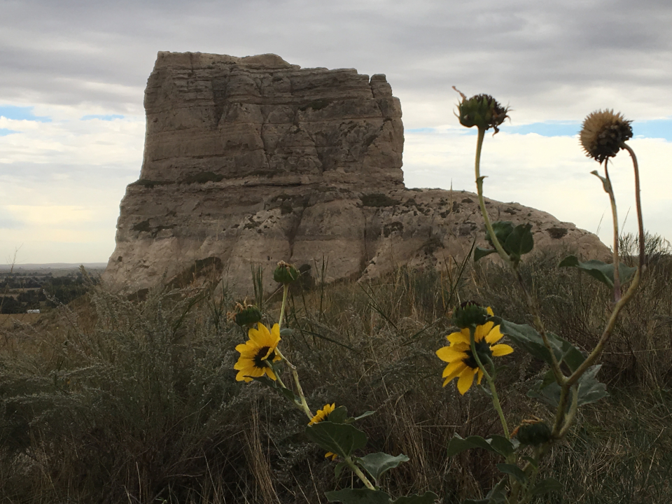 'Rolling out' salutes Nebraska on 150th anniversary