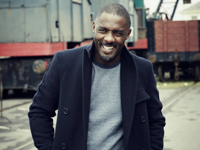 Idris Elba doesn't want to get married again