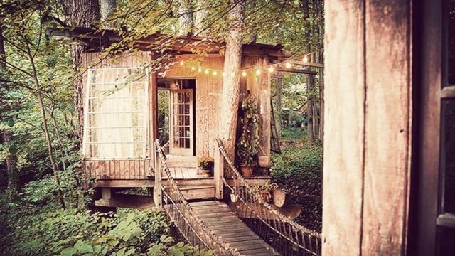 Airbnb treehouse on subscribers' wish list is in Atlanta