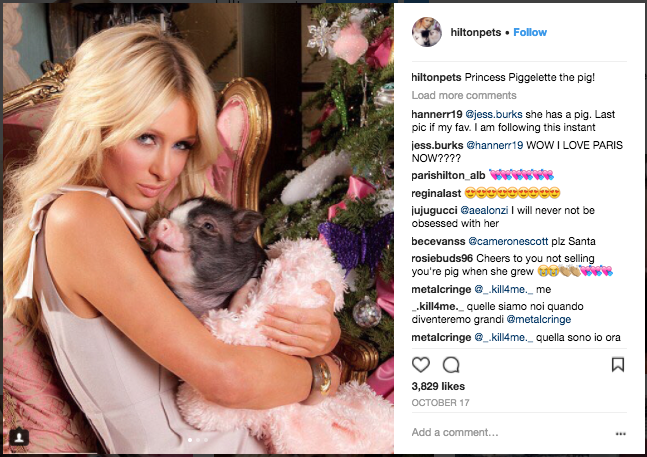 Celebrities with the cutest dogs in 2017