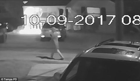 Serial killer on the loose in Tampa, police looking for Black suspect
