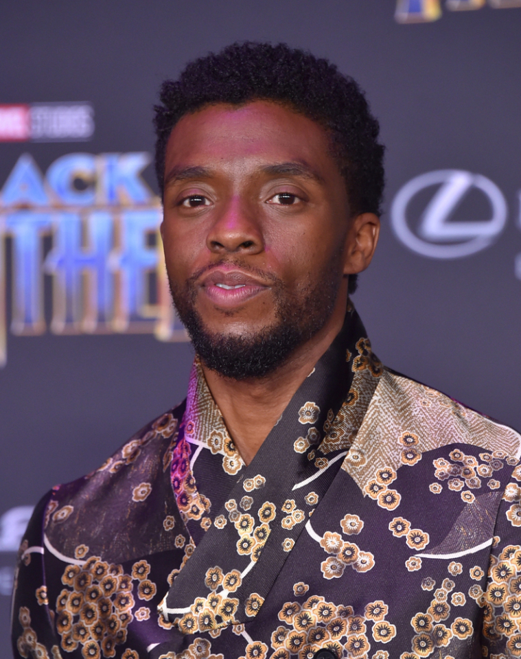 Chadwick Boseman arrives for the 'Black Panther' World Premiere on January 29, 2018 in Hollywood, CA (Photo Credit: DFree)