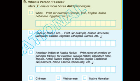 How the 2020 Census form will clarify your Blackness