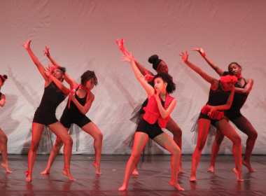 Grace, skill and beauty shine at CMDC's 2nd annual fundraiser Because We Can