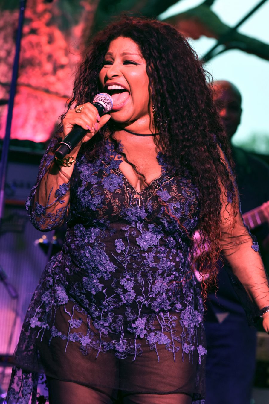 Chaka Khan performs a stellar show at Minnesota Zoo Amphitheater