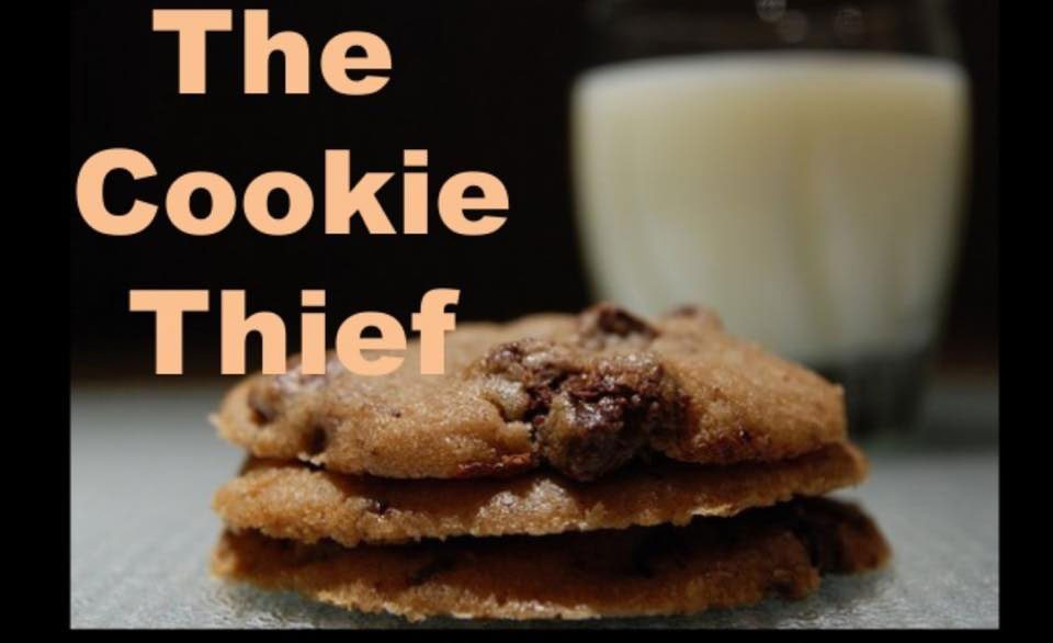 Cookie monster: Mom arrested after $1.6K theft of Girl Scout cookies