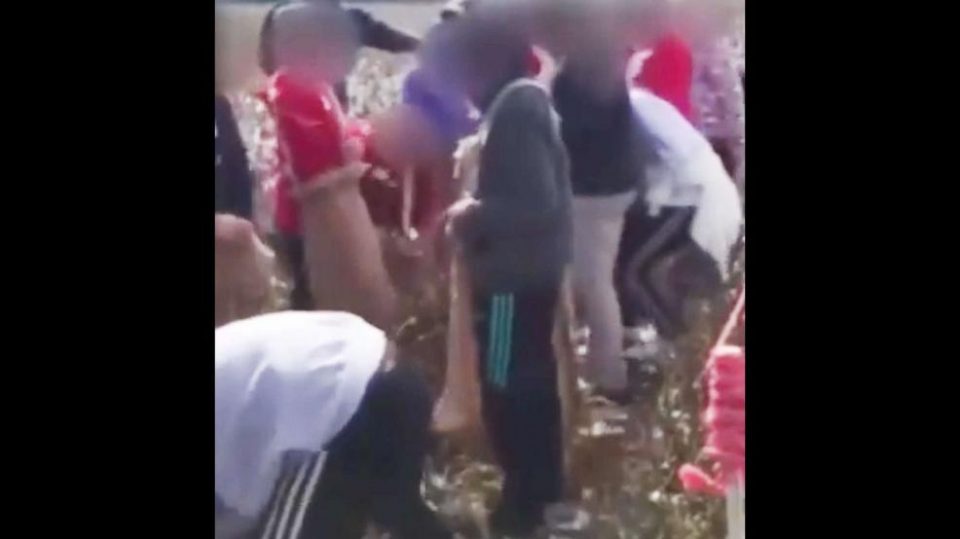 Kids forced to pick cotton and sing slave songs during field trip