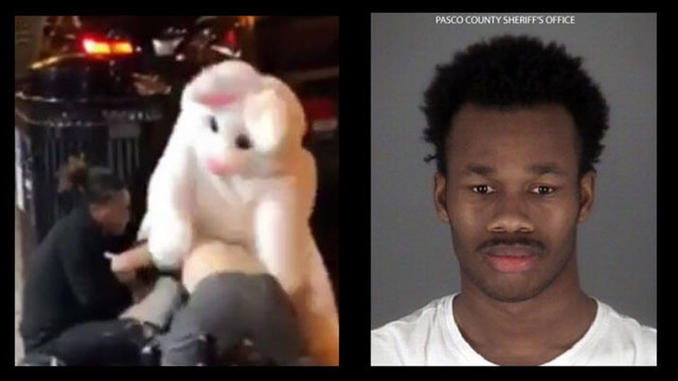 Florida 'Easter Bunny' who rescued Black woman is a wanted fugitive (video)