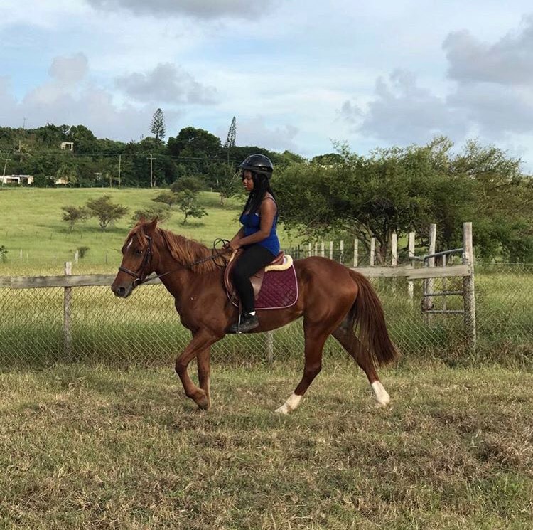 Ranee James is breaking stereotypes for Black women in equestrian sports