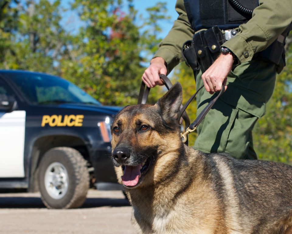 White cop charged after forcing dog to bite unarmed Black man