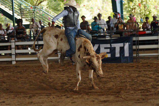 Bill Pickett Rodeo celebrates the legacy of Black cowboys