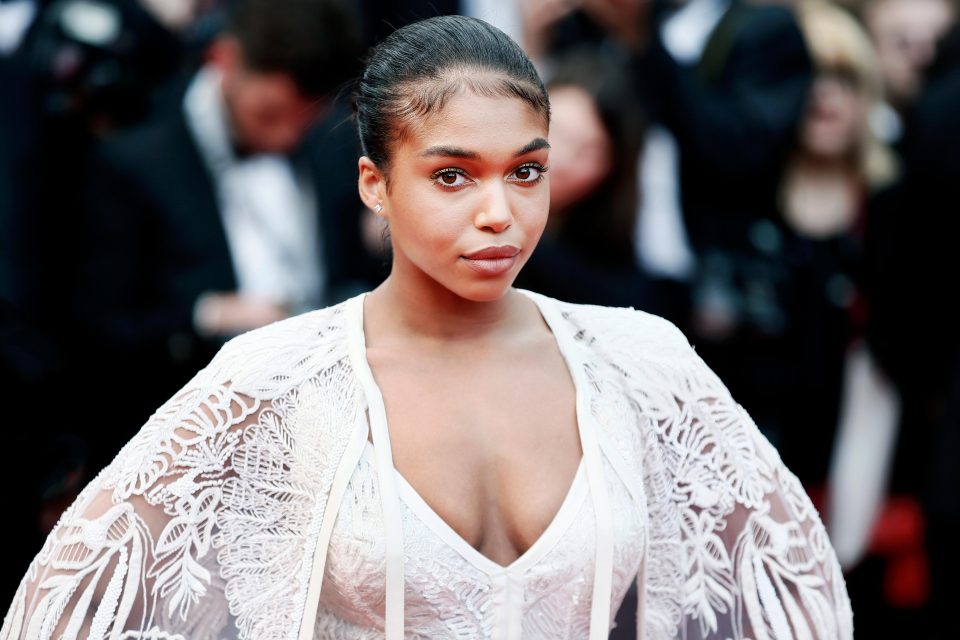 Lori Harvey claps back at meddler for comment on relationship with Damson Idris