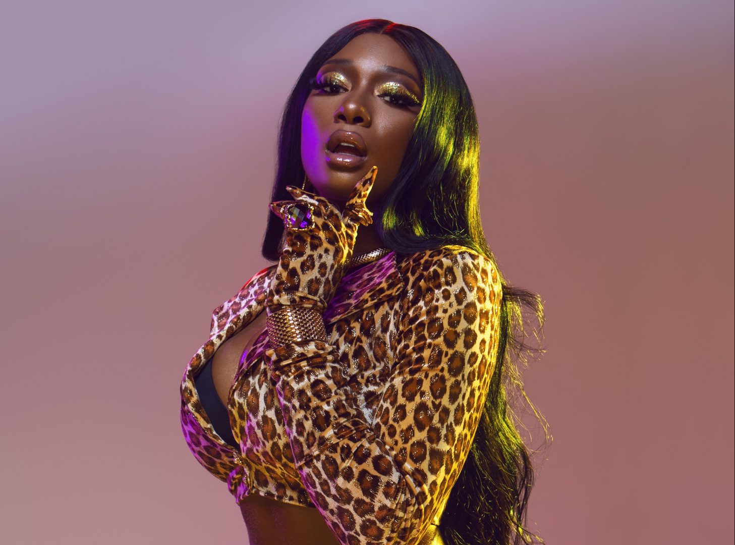 5 things to know when going to see Megan Thee Stallion in concert