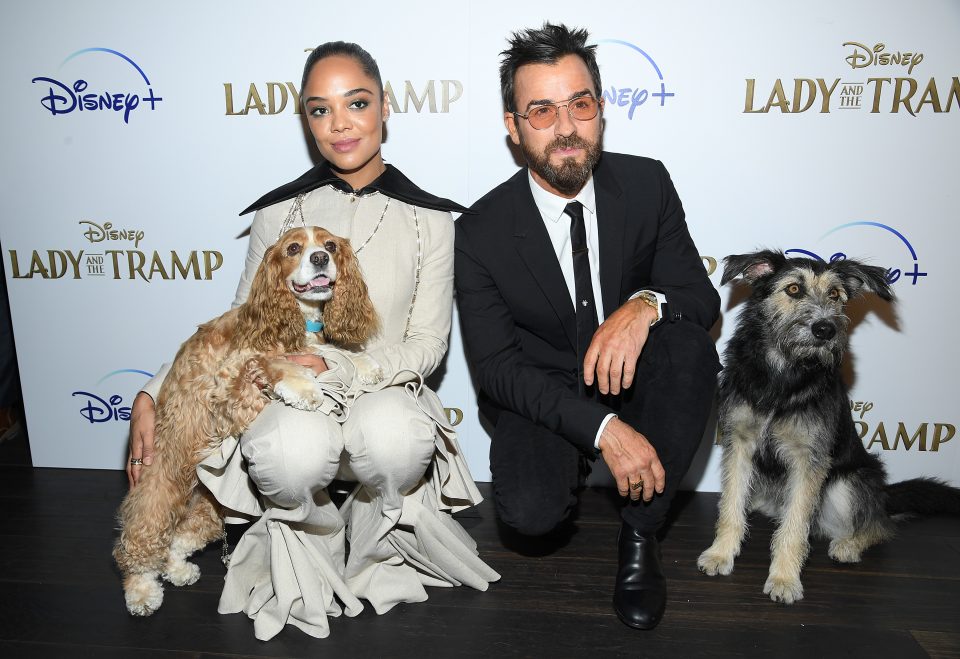 Tessa Thompson attends 'Lady and the Tramp' screening with some furry friends