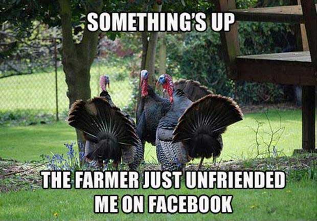 Funniest Thanksgiving Memes And Tweets 7138