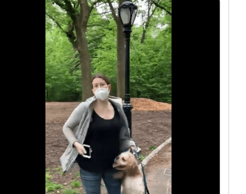 White woman who racially profiled Black birdwatcher lied to cops about assault