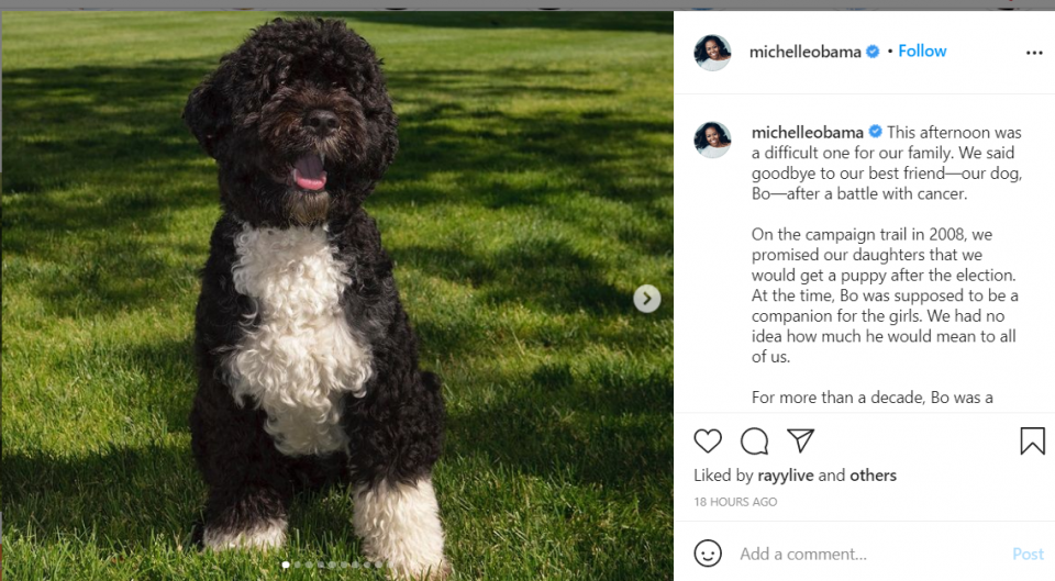 Barack and Michelle Obama mourn their dog, Bo