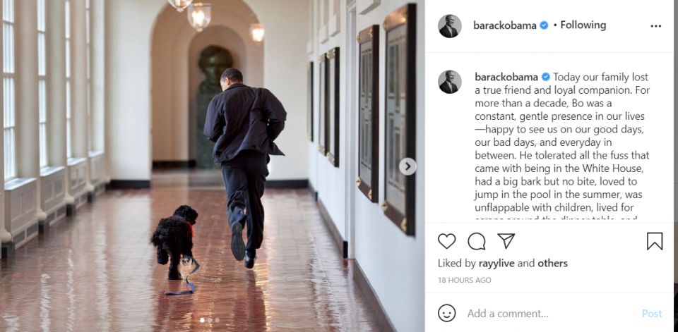 Barack and Michelle Obama mourn their dog, Bo