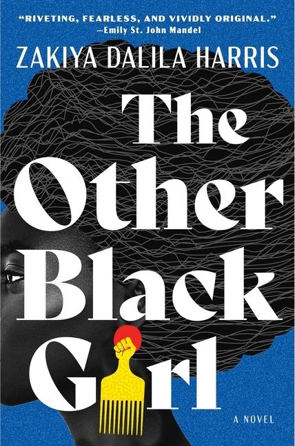 Book of the Week: Hot summer novel 'The Other Girl,' by Zakiya Harris