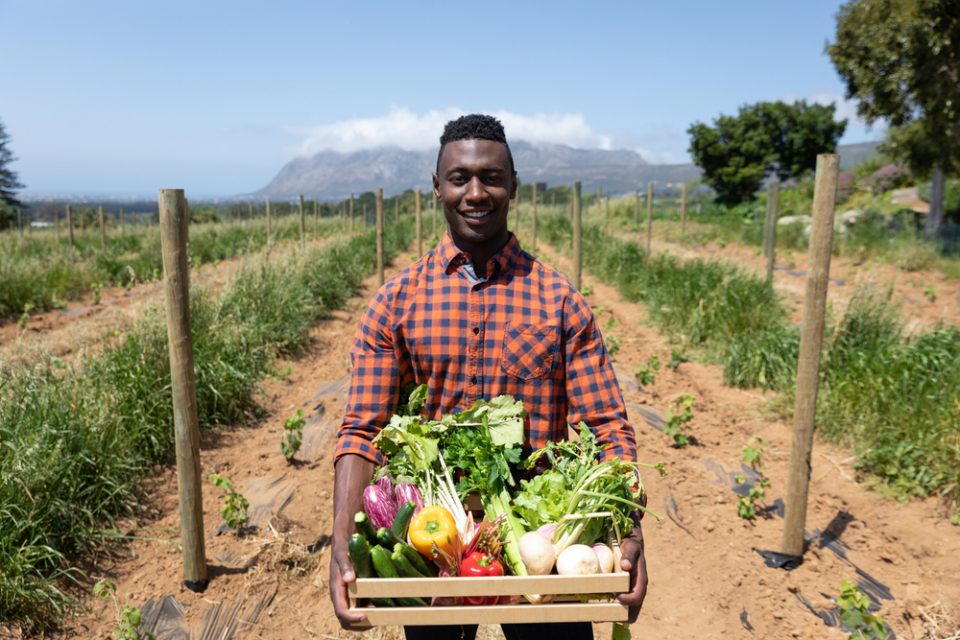 Judge halts billions in relief for Black farmers