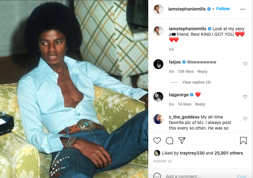 Stephanie Mills explains why she should have married Michael Jackson (photo)