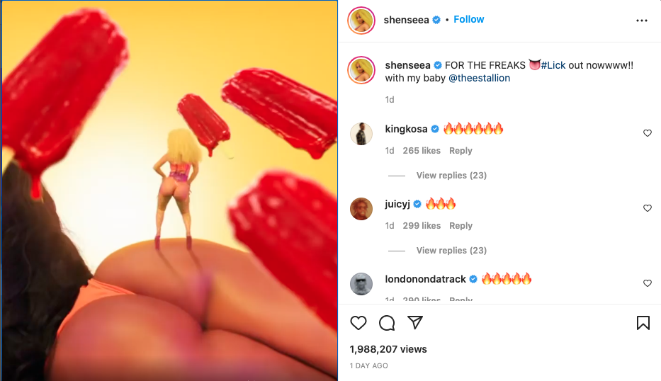 Megan Thee Stallion and Shenseea trashed for racy 'Lick' video