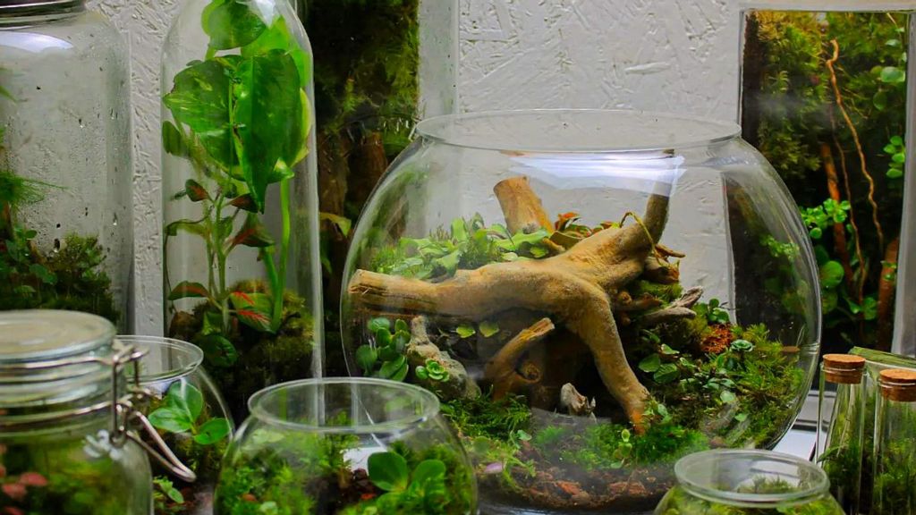The terrariums, which were made by Joe Rees, 26, who lives in Bristol, UK. (Joe from @ome.home/Zenger)