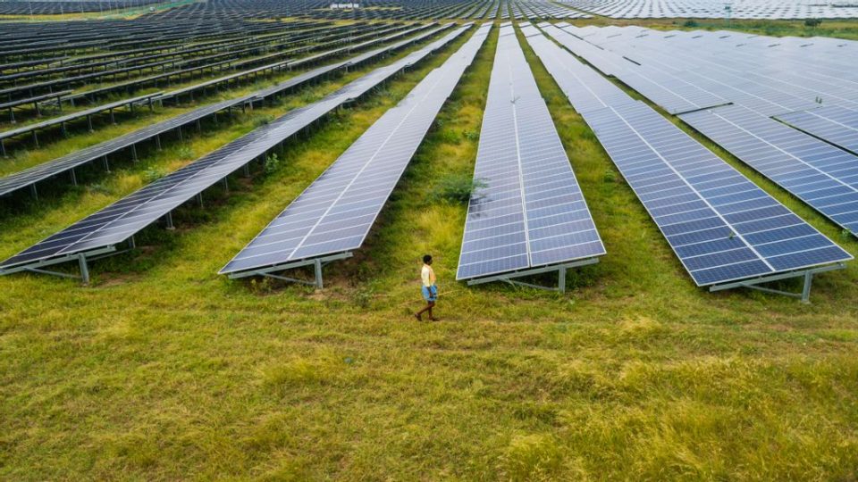 An aerial view shows a shepherd walk past photovoltaic cell solar panels in the Pavagada Solar Park on October 11, 2021 in Kyataganacharulu village, Karnataka, India. (Photo by Abhishek Chinnappa/Getty Images)