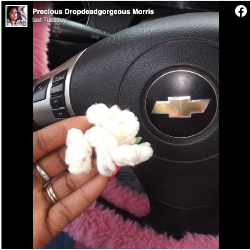 NY teacher made Black students pick cotton for slavery reenactment (photo)