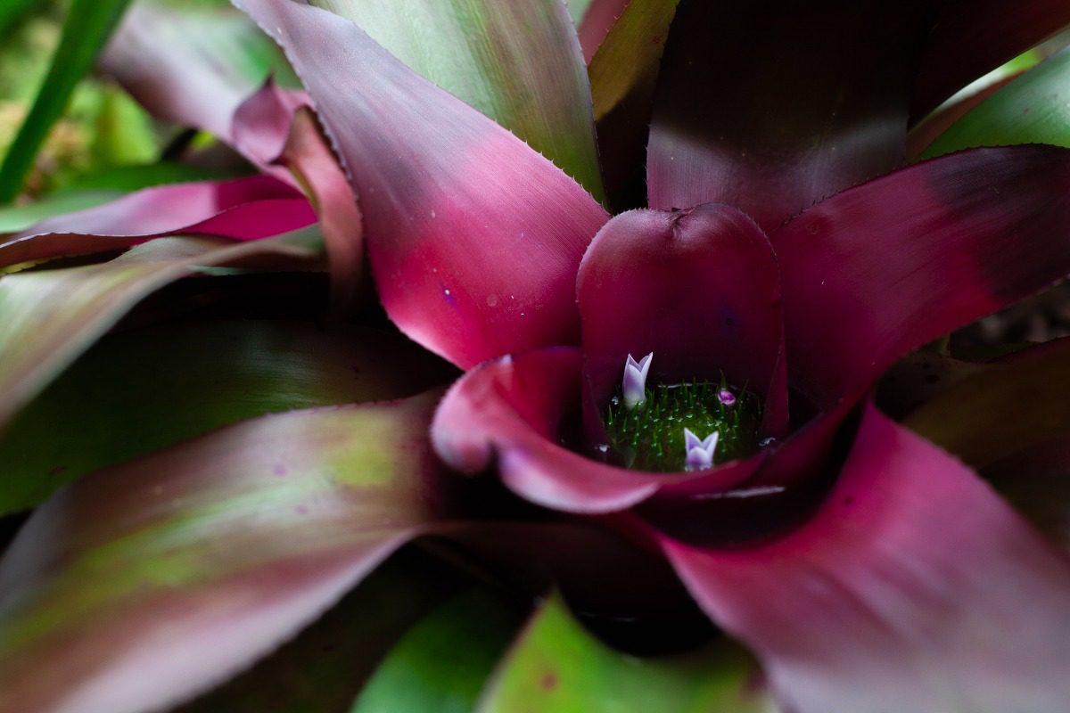 Children are not being taught enough about plants at a time when they could be the answer to global warming, scientists have warned. (Simon Galloway, SWNS/Zenger)