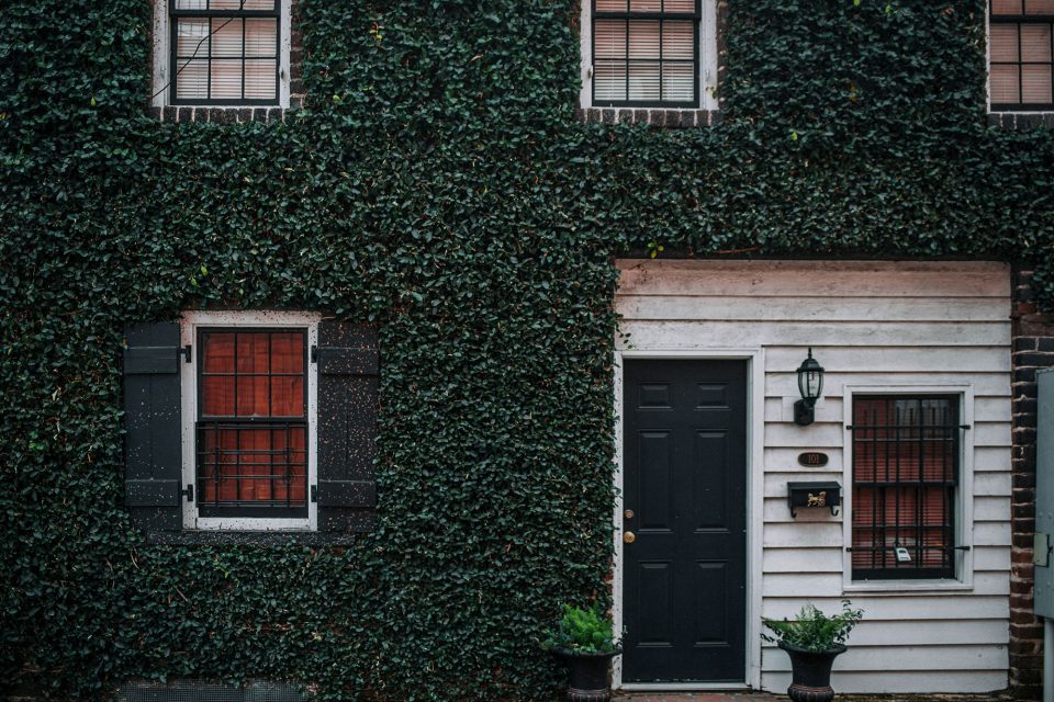 One in three say they'd burn down their home if it was infested with bugs, in a survey of 2,000 adults commissioned by Zevo. Undated photograph. (Flor Mora, SWNS/Zenger)