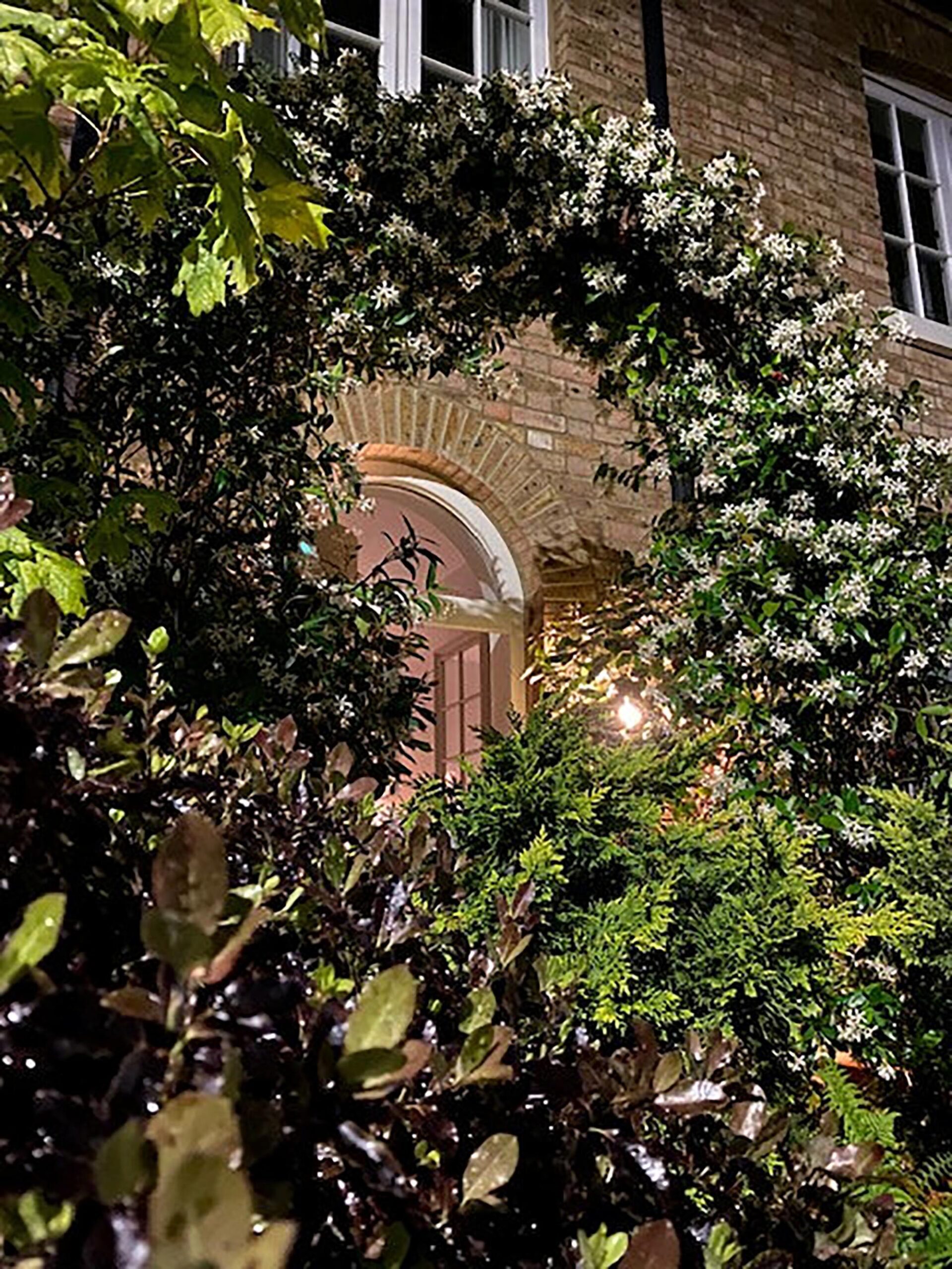 Alexandra Wilson-Jones' plants outside of her home in Dorsetshire in the south of England, in an undated photo. Wilson-Jones says she has been served an eviction notice at her house in Poundbury - the Prince of Wales's model village for having too many plants. (Alexandra Wilson-Jones,SWNS/Zenger)