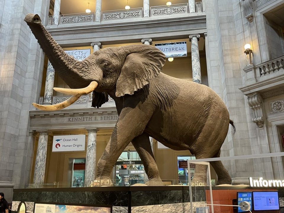 smithsonian national museum of natural history tickets parking