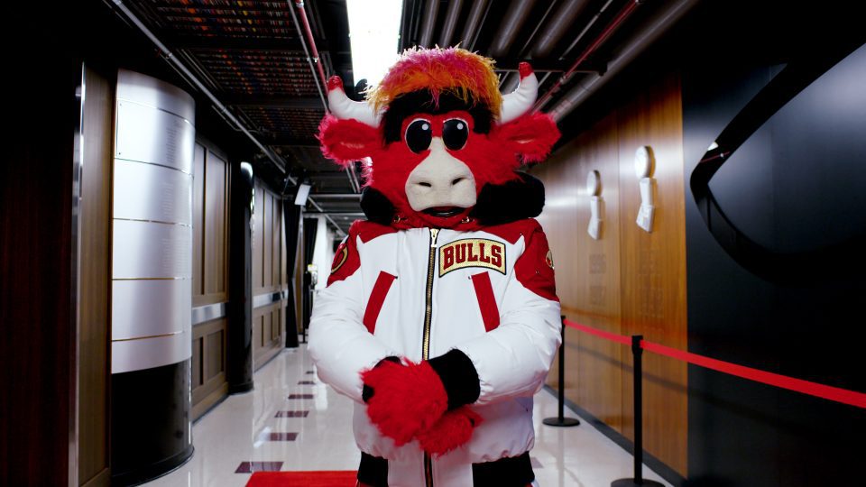 Find out what happened when Moose Knuckles and Benny the Bull joined forces