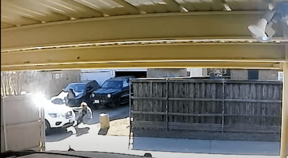 2 Texas women's feud over trash can turns violent (video)