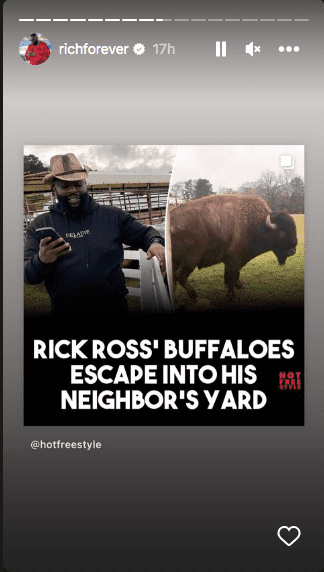Rick Ross has massive buffaloes roaming off property, angering neighbors