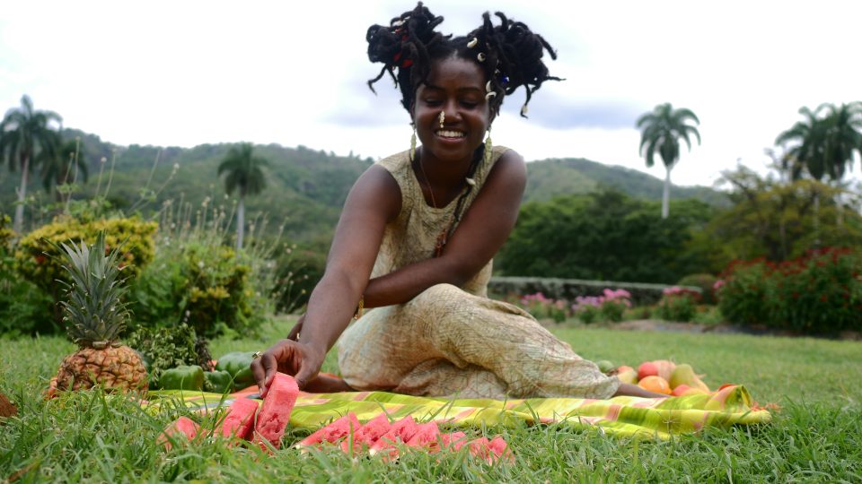 Culinary medicine woman Danielle Henry uses food to heal and nourish others