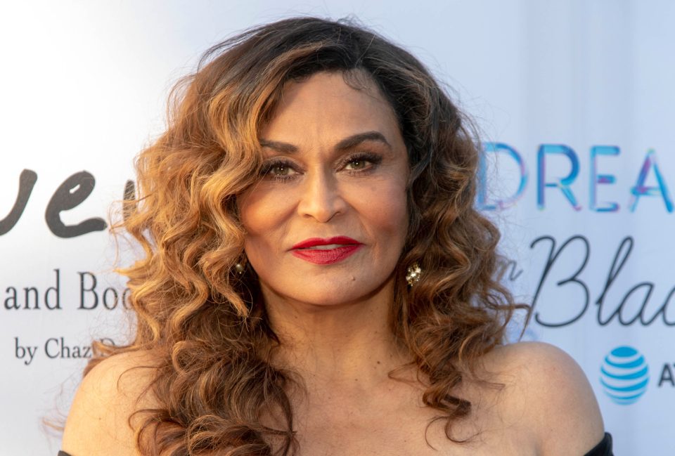 Tina Knowles-Lawson, SheaMoisture partner to highlight Black women visionaries