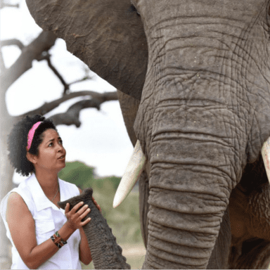 Paula Kahumbu brings diversity and insight to 'Secrets of the Elephants'
