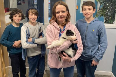 Pacey, Buddy, homeless woman Bex, puppy Rainbow, and Dan. PHOTO BY BCHA/SWNS