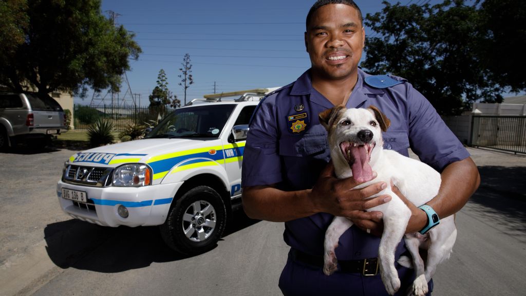 Meet Snoekie, The Rescued Dog Helping Bust Drug Traffickers