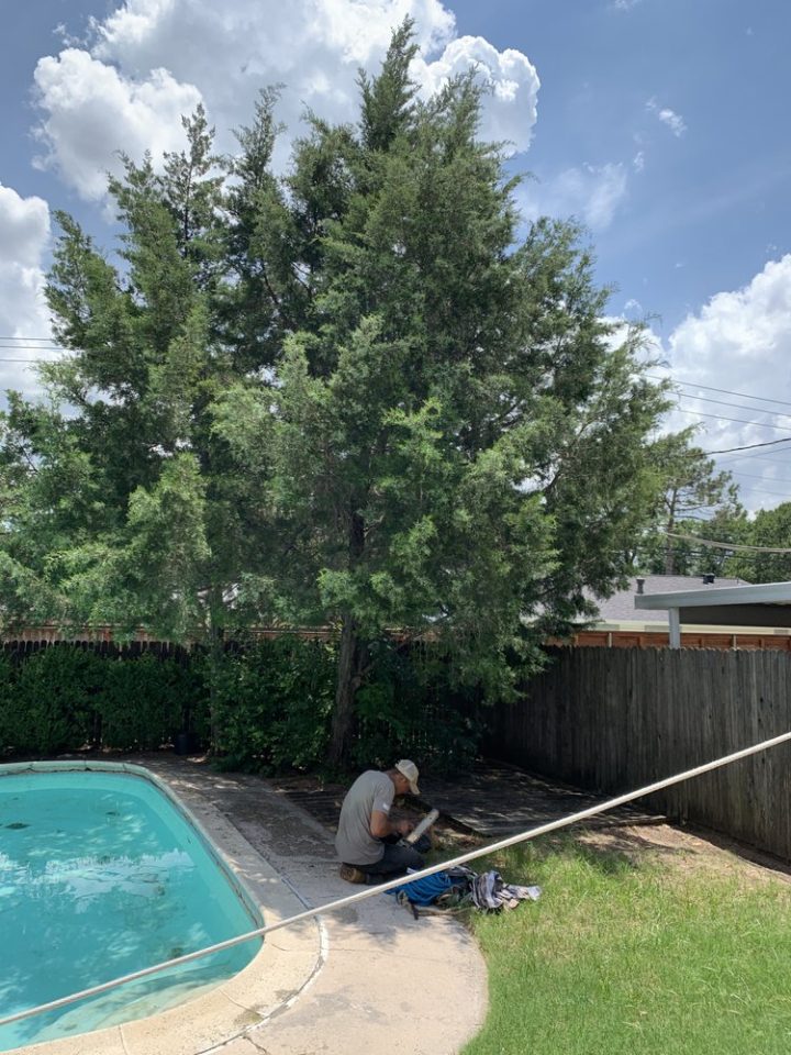 Brother’s Tree Trimming - Rolling Out