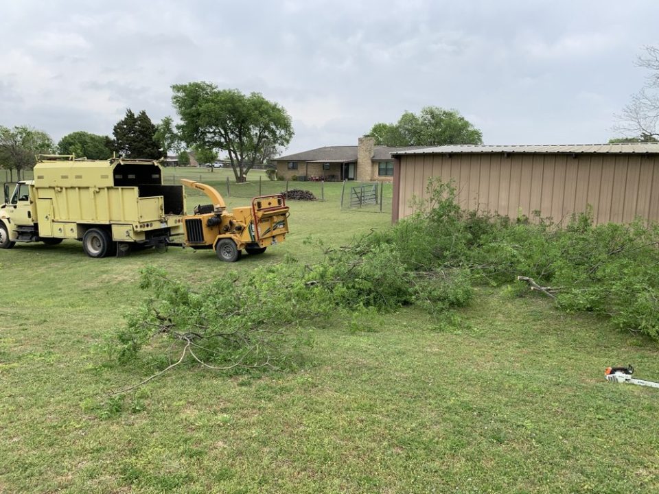 Brother’s Tree Trimming - Rolling Out