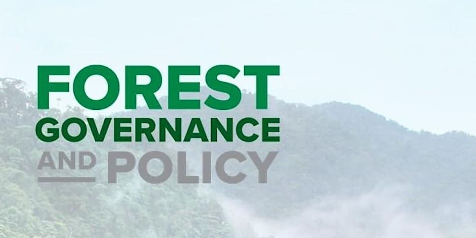 Forest Governance And Policy Annual Conference 2024 Rolling Out   Forest Governance And Policy Annual Conference 2024 